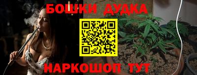 крисы Белореченск