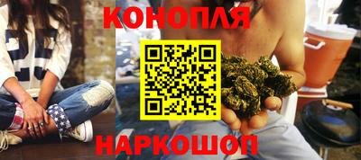 крисы Белореченск