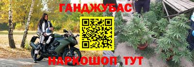 скорость Бердск