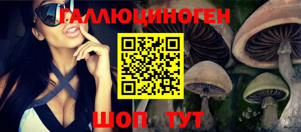 Галлюциногенные грибы GOLDEN TEACHER Лиски