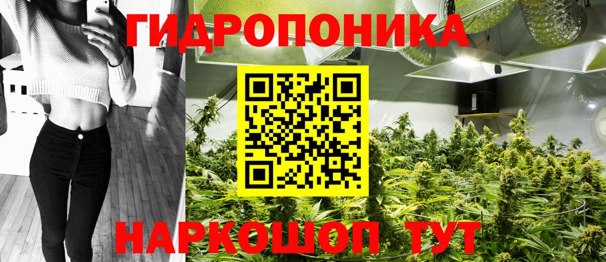 Бошки марихуана VHQ  Вход с VPN  Марихуана планчик  Канабис планчик  Лиски 